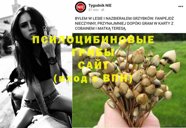 2c-b Ростов