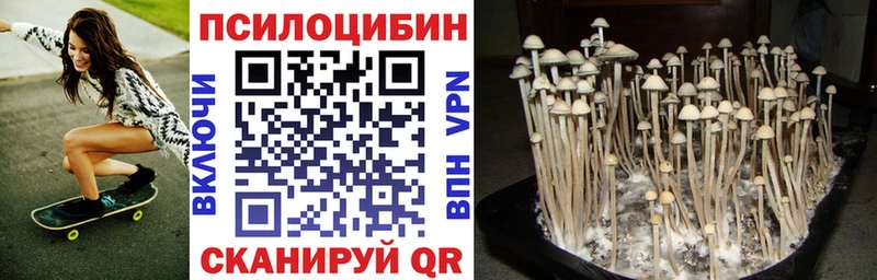 Галлюциногенные грибы Psilocybe blacksprut ссылка Шумерля