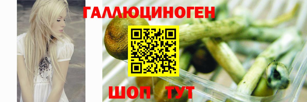 Шумерля  Псилоцибиновые грибы Magic Shrooms  Вход с VPN 